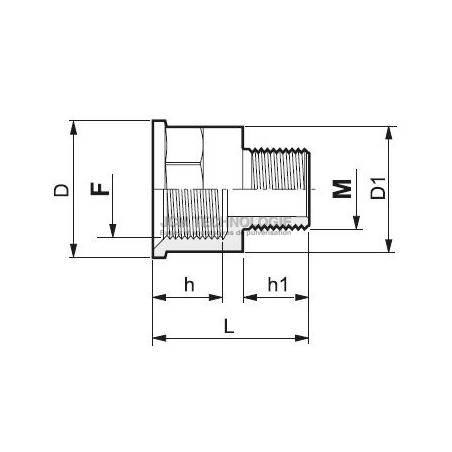 Réduction Femelle/Mâle