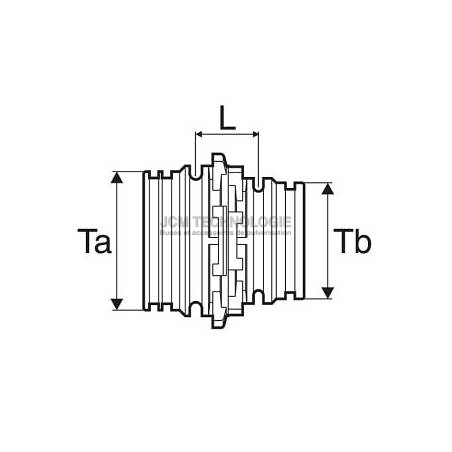 T_arag_mamelon_reduit_cotes