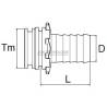 T_arag_male_cotes T_arag_male_cotes