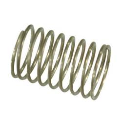 ref_20524_Ressort de clapet pompe Comet MC