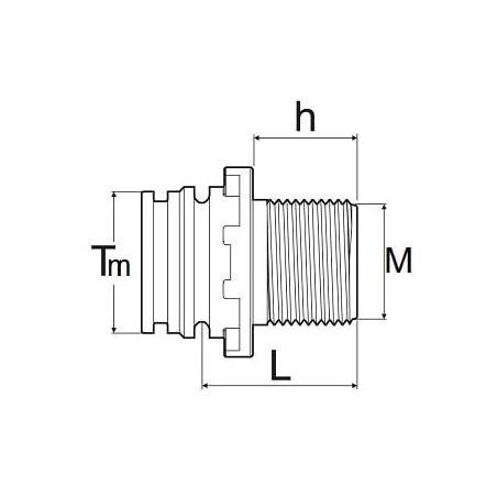 ref_13881_T_arag_male_filetageM_cotes