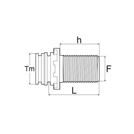 ref_14374_T_arag_male_filetageM_long_cotes
