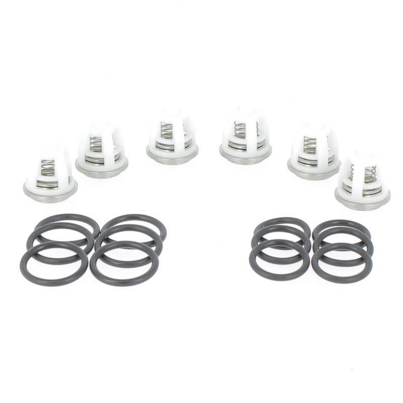 ref_17455_50250011-1 Kit Clapet