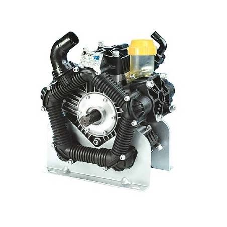 ref_19456_556000973_1