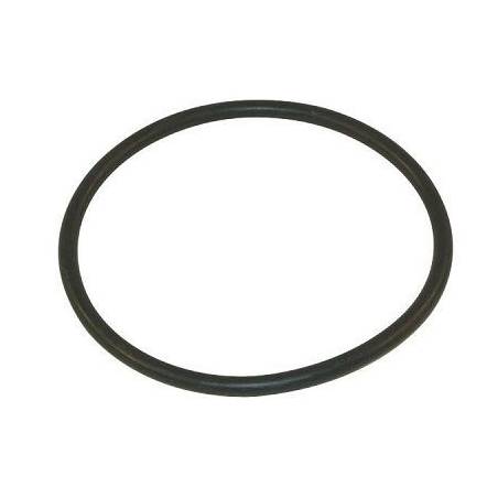 Joint torique tamis de filtre Arag 107 mm - 95 x 2.6 mm