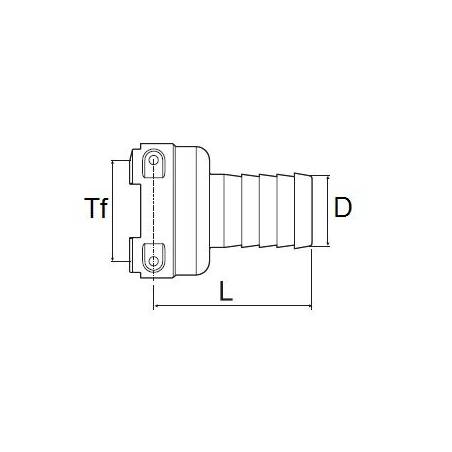 T_arag_femelle_cotes T_arag_femelle_cotes