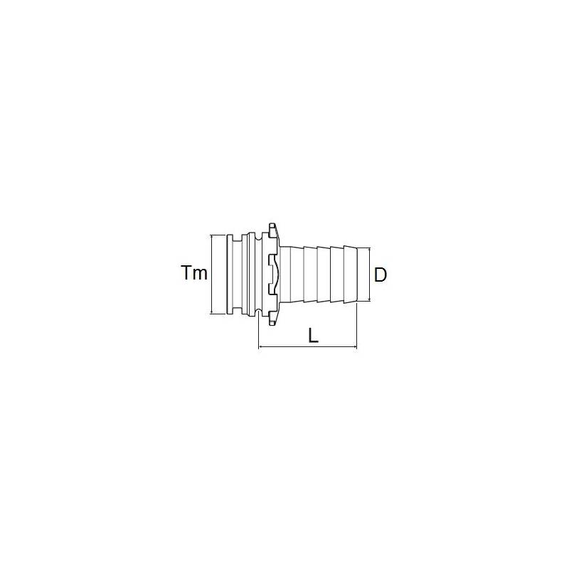 T_arag_male_cotes T_arag_male_cotes