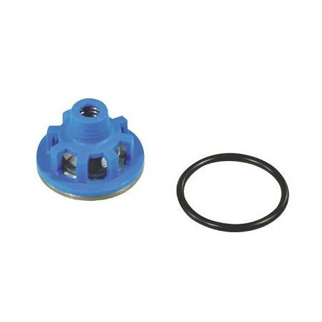 Clapet complet de pompe Comet APS 101 - APS 121 - APS 145