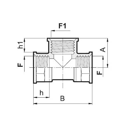 te_filete_F_cotes te_filete_F_cotes