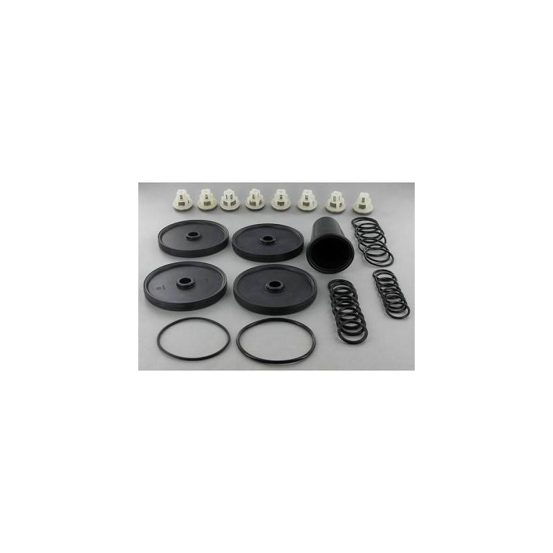 Kit de révision pompe Comet APS 96