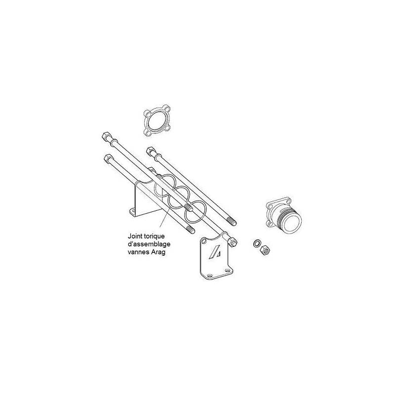 Joint torique Viton vanne Arag 463/863 et joint tubulure à écrou 2" - 39.34 x 2.62