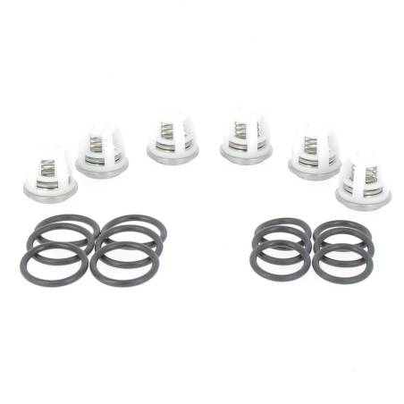 50250011-1 Kit Clapet