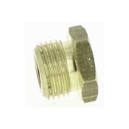 Bouchon laiton 1/2" pour filtre Arag 345