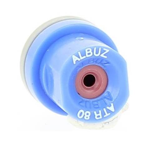 Buse Albuz - ATR 80 Bleue