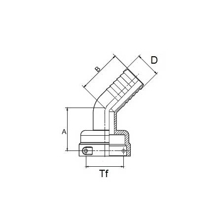 T_arag_coude45_femelle_cotes