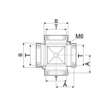 T_arag_croix_F_cotes