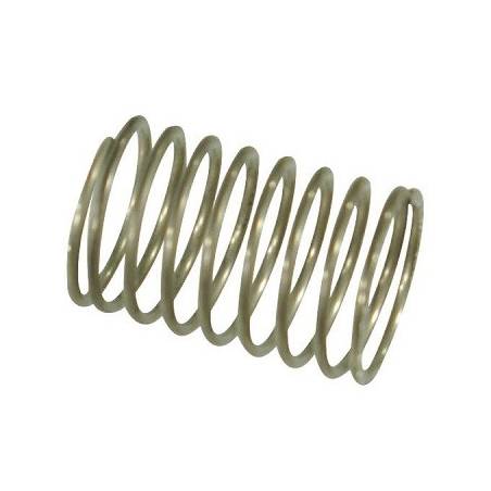 Ressort de clapet pompe Comet 11x17