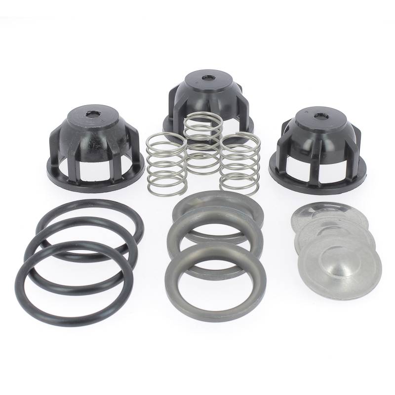 224787-1 Carte de 3 clapets d'aspiration 