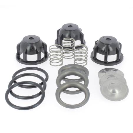 224787-1 Carte de 3 clapets d'aspiration 