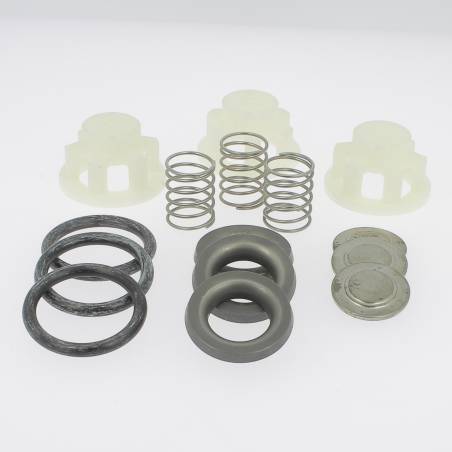 260891-1 Carte de 3 clapets refoulement