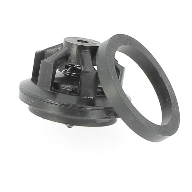 31036-1 Clapet de pompe Tecnoma