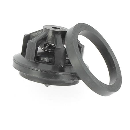 31036-1 Clapet de pompe Tecnoma