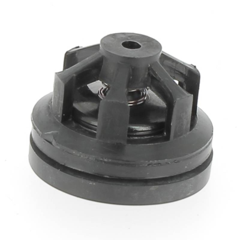 31036-2 Clapet de pompe Tecnoma