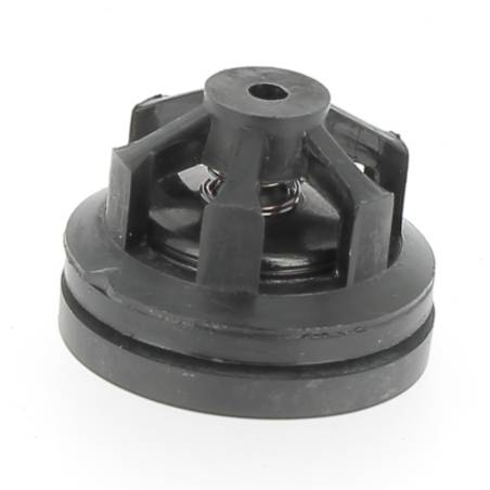 31036-2 Clapet de pompe Tecnoma