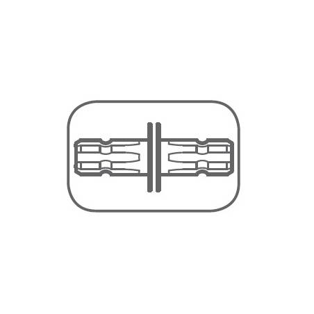 picto_arbre_AV-cannele_AR-cannele