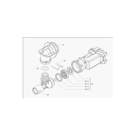 Arag-4246000-Eclatee