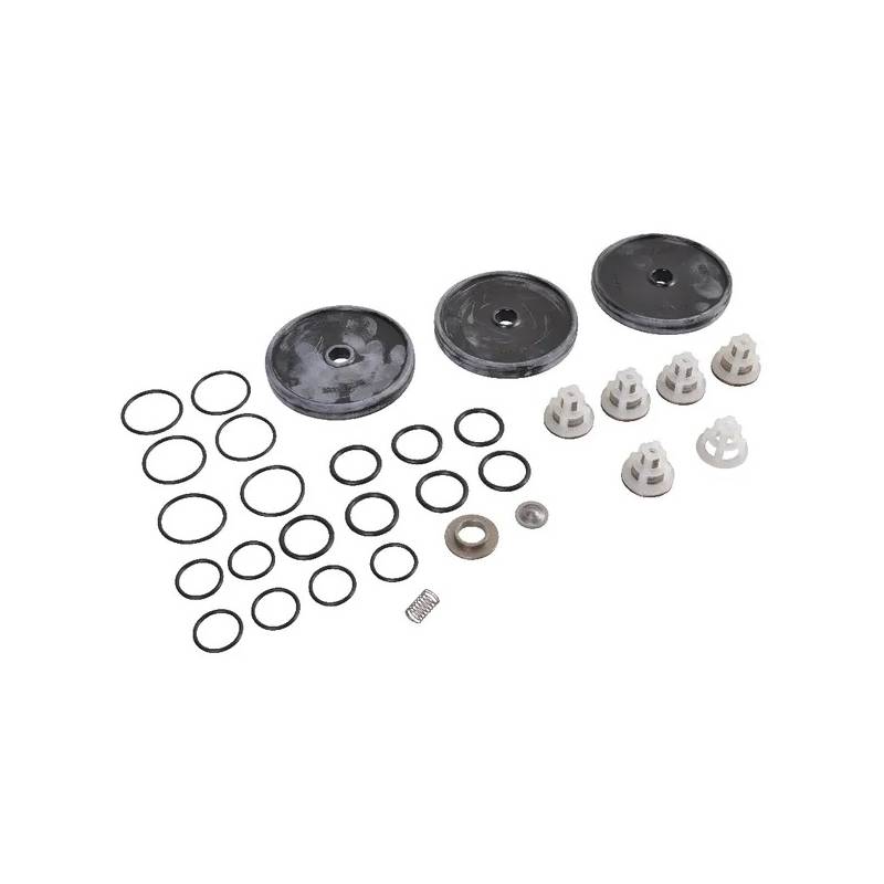 Kit révision pompe APS 51 Comet-50260084 