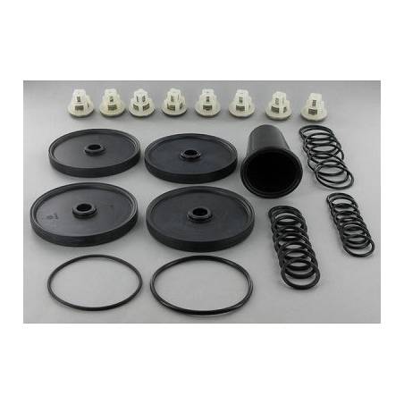 Kit de révision pompe Comet APS 96