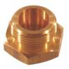 Bouchon laiton 3/4" pour filtre Arag 345
