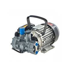 Pompe Mc18 moteur 220V