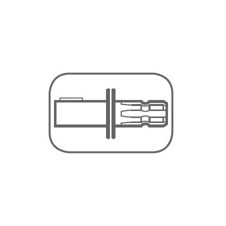 picto_arbre_AV-cannele_AR-cylindrique
