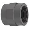 Mamelon PVC à coller 32F x 3/4"F BSP
