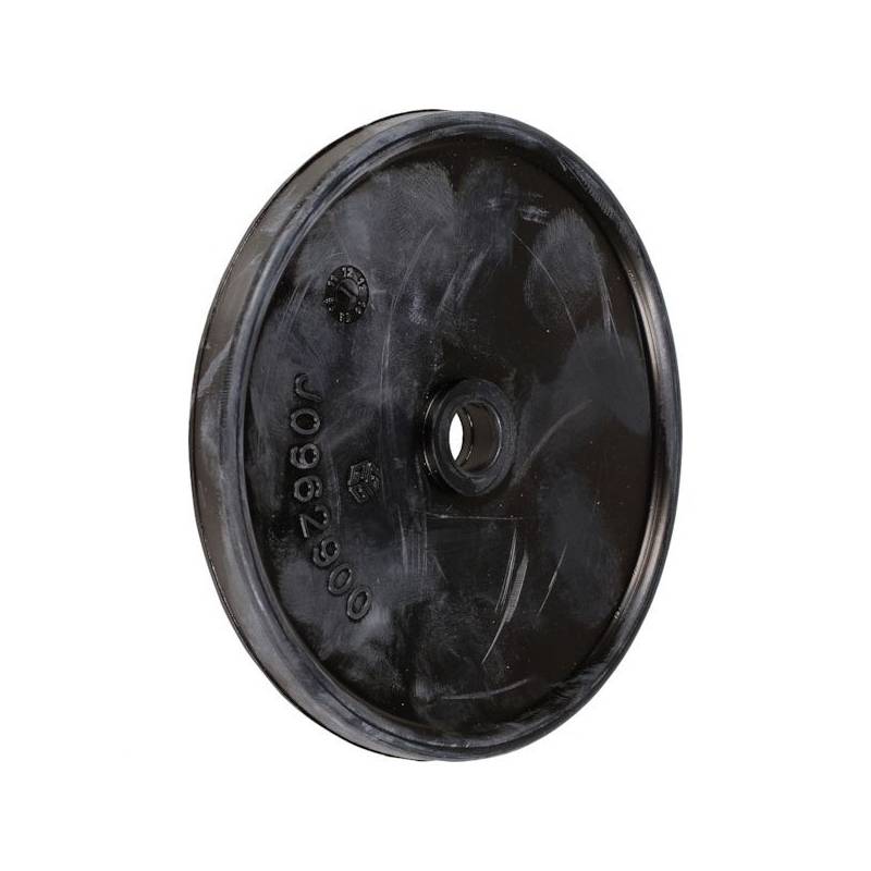 950040312-membrane-pompe-bertolini