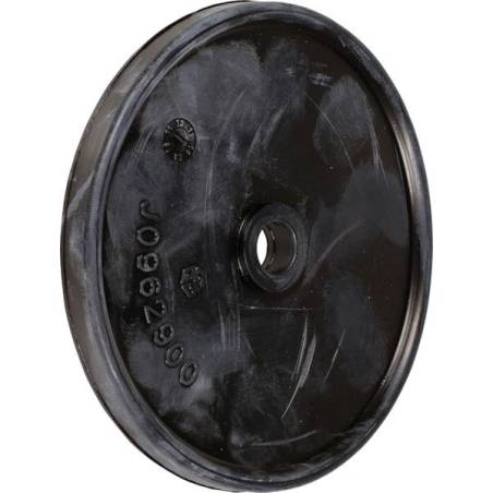 950040312-membrane-pompe-bertolini