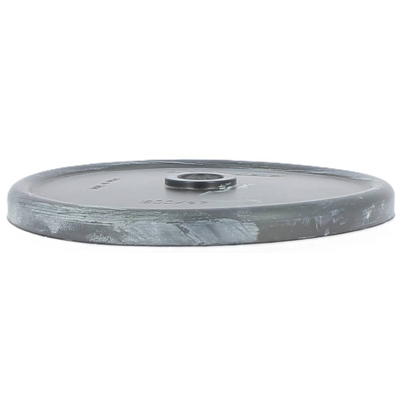 18000097 - Membrane pompe Comet AP 100 (4)
