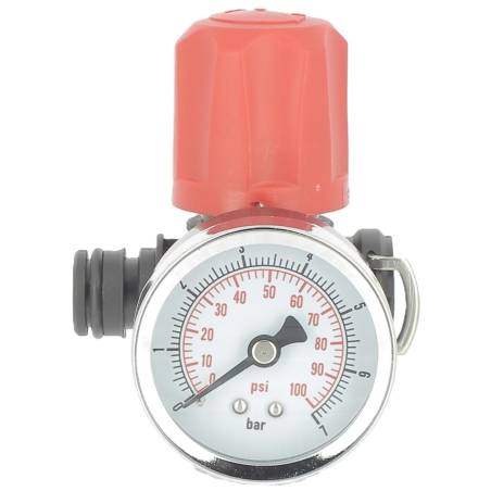 715360 - Régulateur de pression + manomètre Pulflex (2)