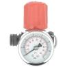 715360 - Régulateur de pression + manomètre Pulflex (2)