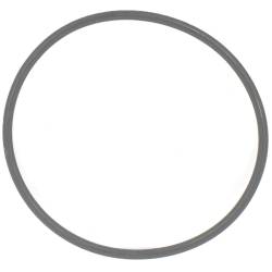 G00001054 - Joint de bol diam 77 pour filtre Tecomec 8074 (1)