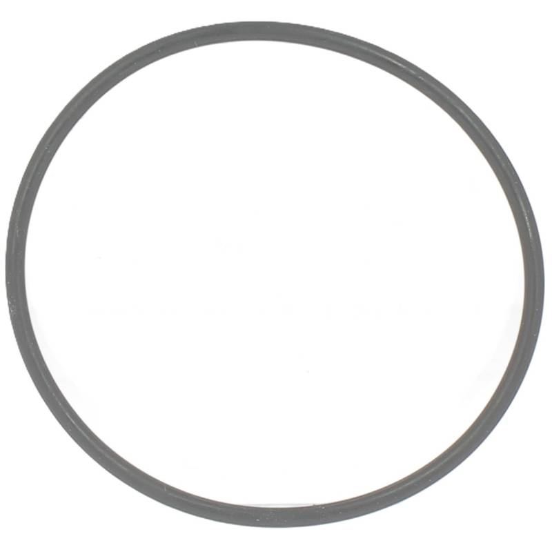 G00001054 - Joint de bol diam 77 pour filtre Tecomec 8074 (1)