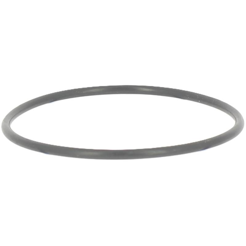 G00001054 - Joint de bol diam 77 pour filtre Tecomec 8074 (3)