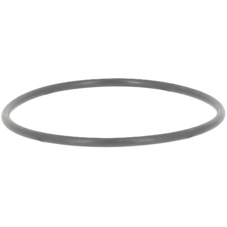 G00001054 - Joint de bol diam 77 pour filtre Tecomec 8074 (3)