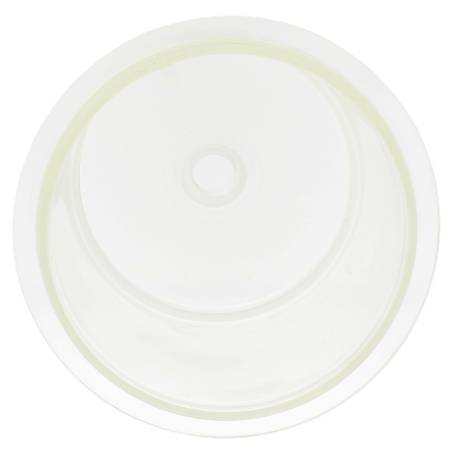 3172T700022 - Bol transparent pour filtre Arag série 317 (nouveau modèle) (3)