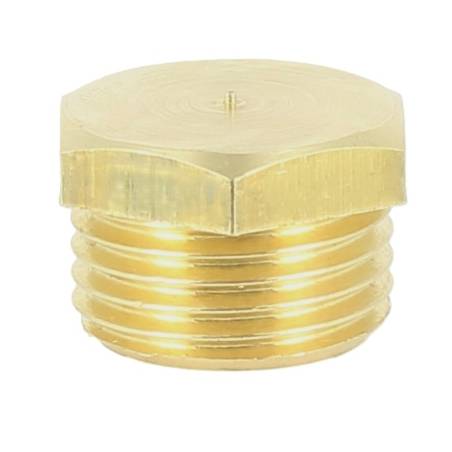 004010020 - Bouchon laiton 1-2 pouce pour filtre Arag 345 (1) 