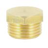 004010020 - Bouchon laiton 1-2 pouce pour filtre Arag 345 (1) 