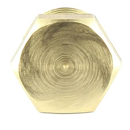 004010020 - Bouchon laiton 1-2 pouce pour filtre Arag 345 (2) 
