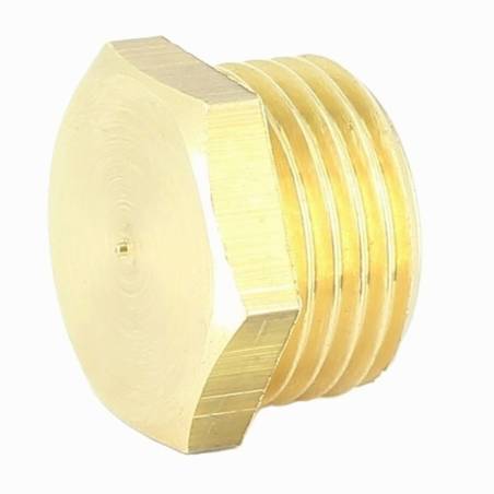 004010020 - Bouchon laiton 1-2 pouce pour filtre Arag 345 (3) 